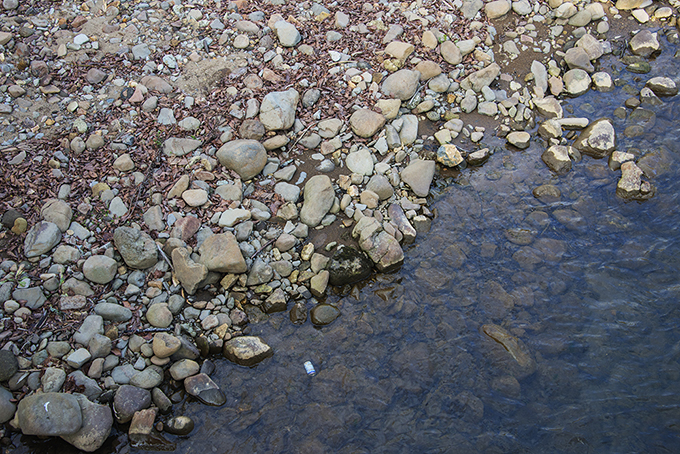 河原には泥の堆積が目立ち、石は泥に埋まっている。水の中の石も、泥を薄く被ったように見えるし、石の周りには微細な砂が目立つ。